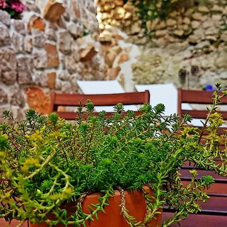 Cherie * Sutomiscica