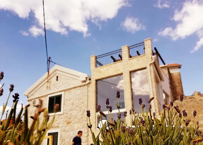 Cherie فيلة Sutomiscica