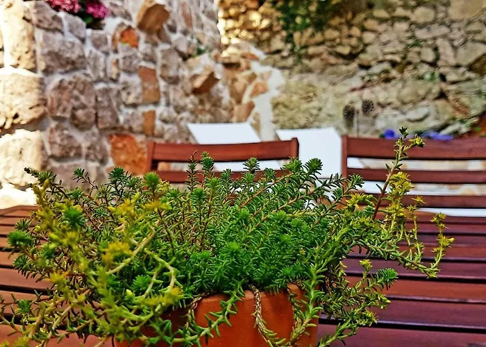 Cherie * Sutomiscica